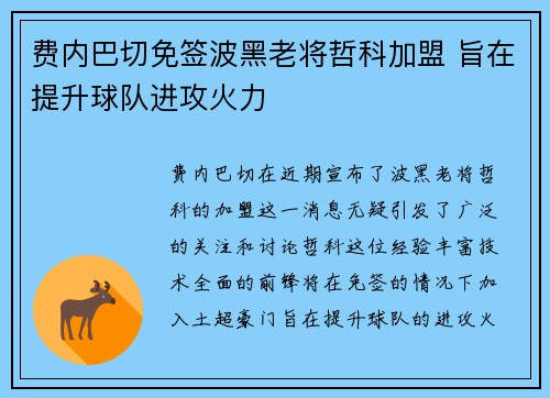 费内巴切免签波黑老将哲科加盟 旨在提升球队进攻火力